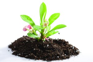 平台核心概念详解